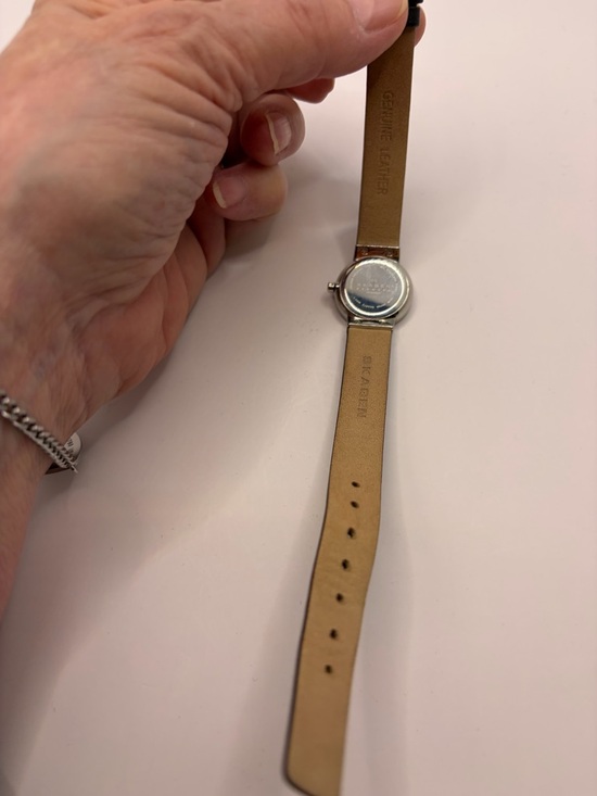 Skagen Brown and Silver Tone Watch main image 2